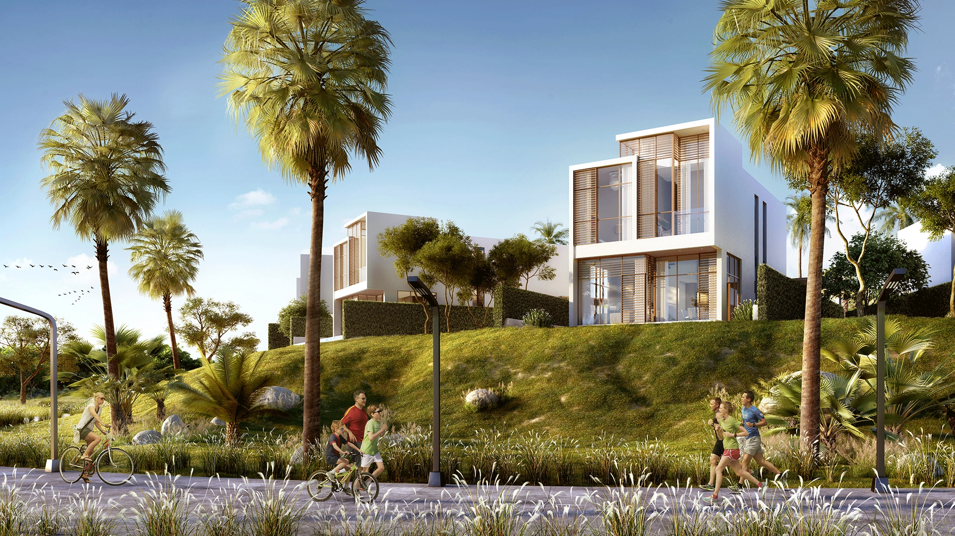 projects_photos