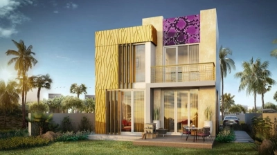 projects_photos